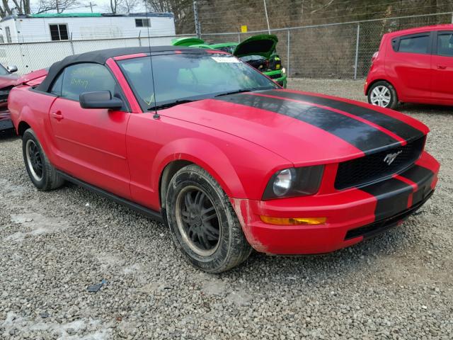 1ZVFT84N655206274 - 2005 FORD MUSTANG RED photo 1