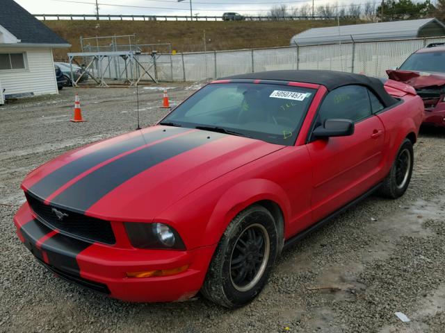 1ZVFT84N655206274 - 2005 FORD MUSTANG RED photo 2