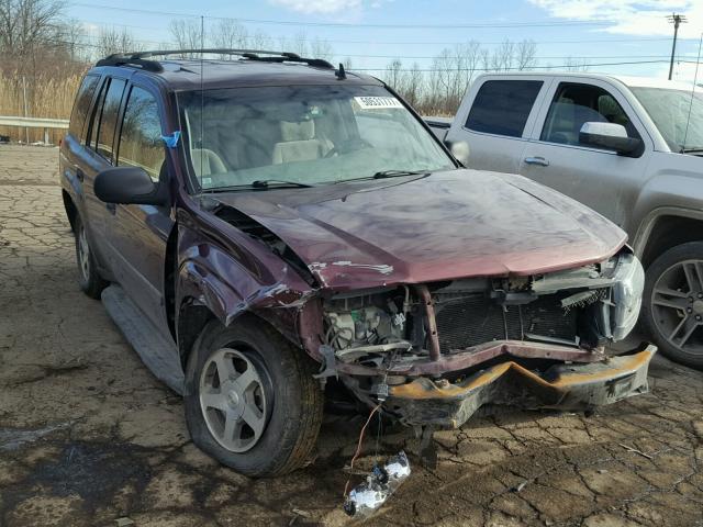 1GNDS13S562278413 - 2006 CHEVROLET TRAILBLAZE PURPLE photo 1