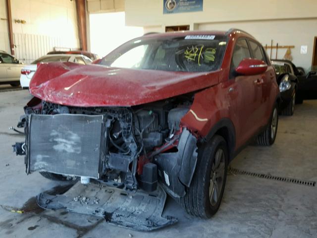 KNDPBCA29C7281012 - 2012 KIA SPORTAGE L RED photo 2