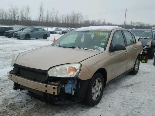 1G1ZT54805F174563 - 2005 CHEVROLET MALIBU LS GOLD photo 2