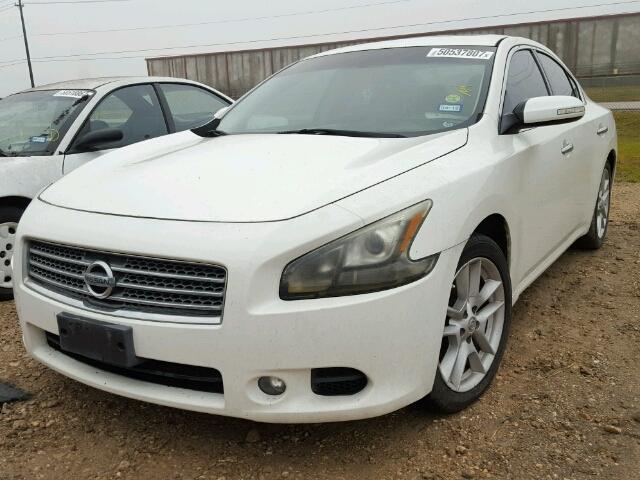 1N4AA51E69C829925 - 2009 NISSAN MAXIMA S WHITE photo 2