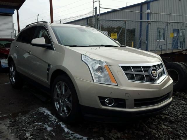 3GYFNBEY7AS632861 - 2010 CADILLAC SRX PERFOR BEIGE photo 1