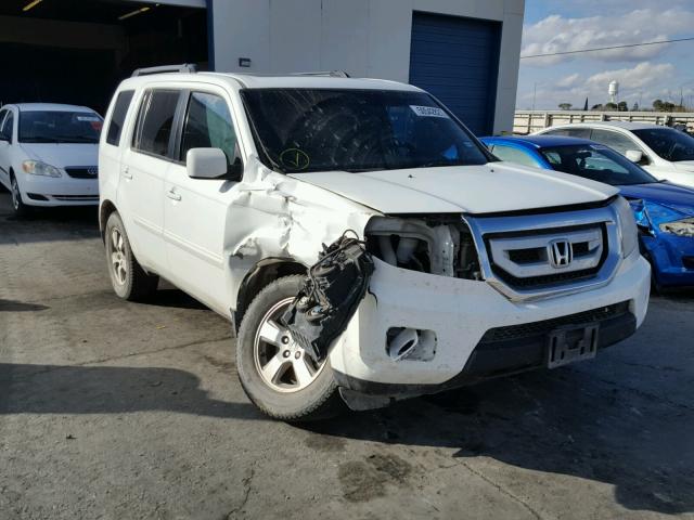 5FNYF3H57BB058470 - 2011 HONDA PILOT EXL WHITE photo 1