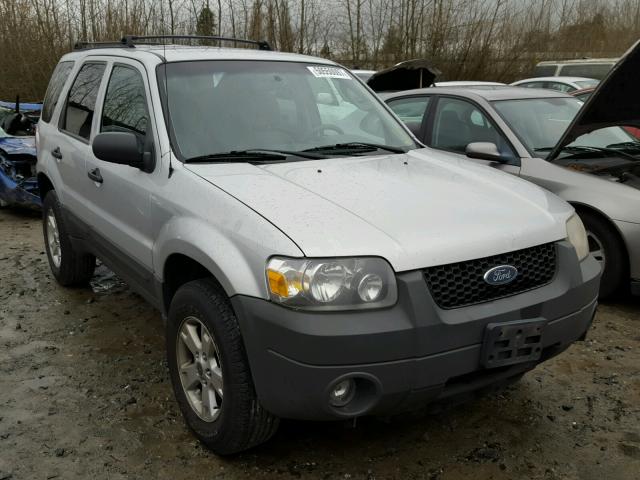 1FMYU93116KB11391 - 2006 FORD ESCAPE XLT SILVER photo 1