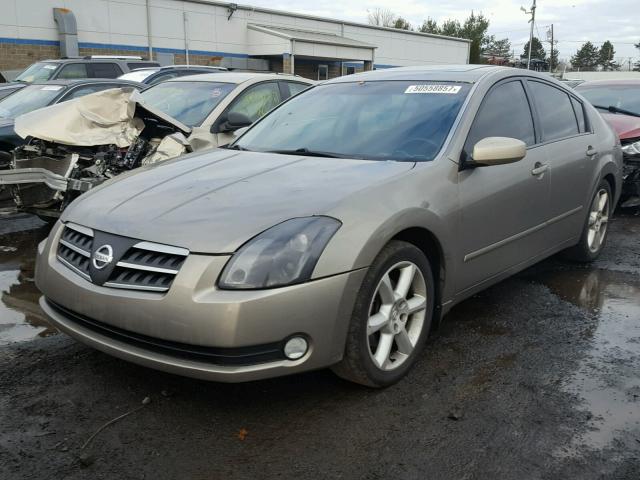 1N4BA41E64C812033 - 2004 NISSAN MAXIMA SE GOLD photo 2