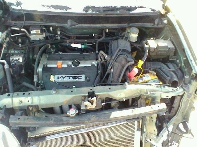 5J6YH28665L003744 - 2005 HONDA ELEMENT EX GREEN photo 7