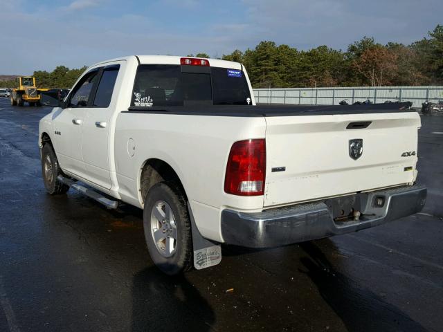 1D3HV18P49S803768 - 2009 DODGE RAM 1500 WHITE photo 3