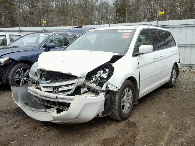 5FNRL38427B448646 - 2007 HONDA ODYSSEY EX WHITE photo 2