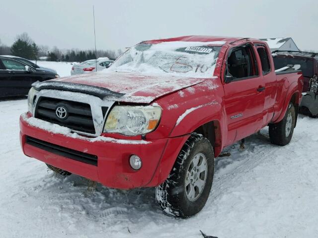 5TEUU42N96Z314843 - 2006 TOYOTA TACOMA ACC RED photo 2