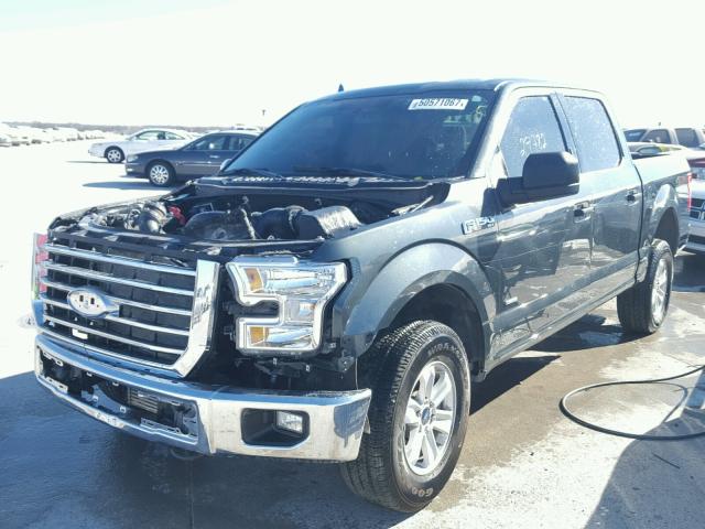 1FTEW1EG4FKD11329 - 2015 FORD F150 SUPER GREEN photo 2