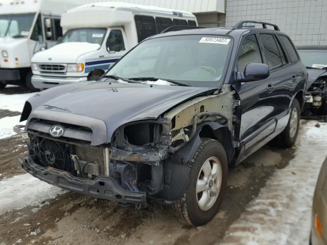 KM8SC13D85U916747 - 2005 HYUNDAI SANTA FE G GRAY photo 2