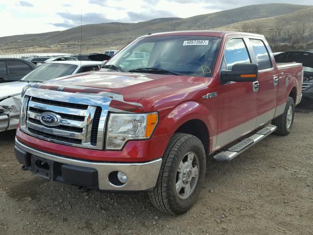 1FTPW14VX9FA60998 - 2009 FORD F150 SUPER RED photo 2