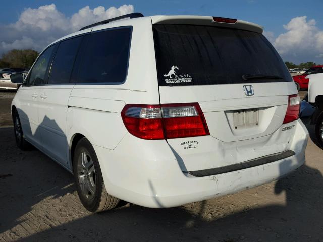 5FNRL38425B021772 - 2005 HONDA ODYSSEY EX WHITE photo 3