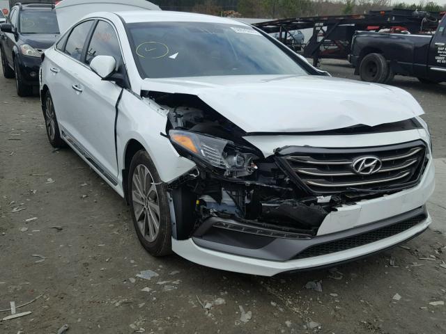 5NPE34AF3FH212068 - 2015 HYUNDAI SONATA SPO WHITE photo 1