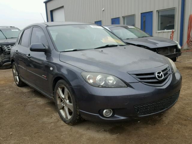 JM1BK143951325907 - 2005 MAZDA 3 HATCHBAC CHARCOAL photo 1