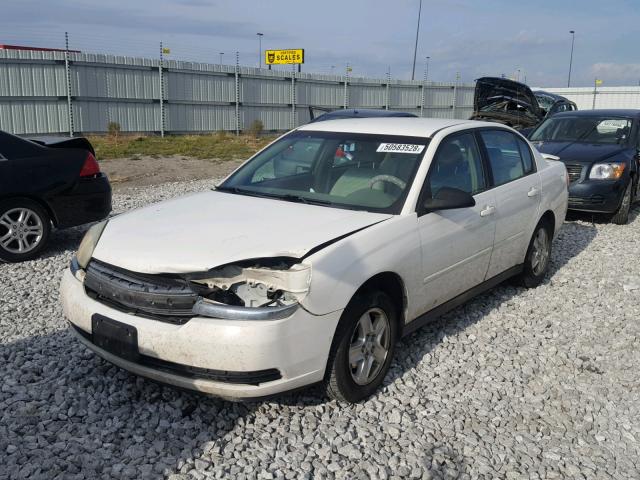 1G1ZT52875F108417 - 2005 CHEVROLET MALIBU LS 白色 照片 2
