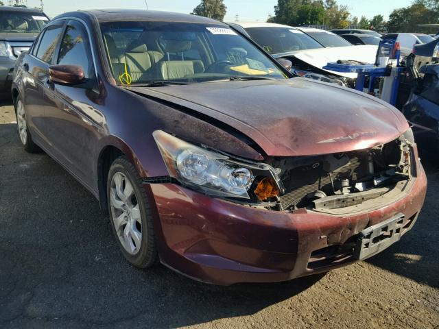 JHMCP26899C002275 - 2009 HONDA ACCORD EXL BURGUNDY photo 1