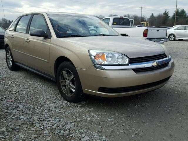 1G1ZT64844F220271 - 2004 CHEVROLET MALIBU MAX BEIGE photo 1