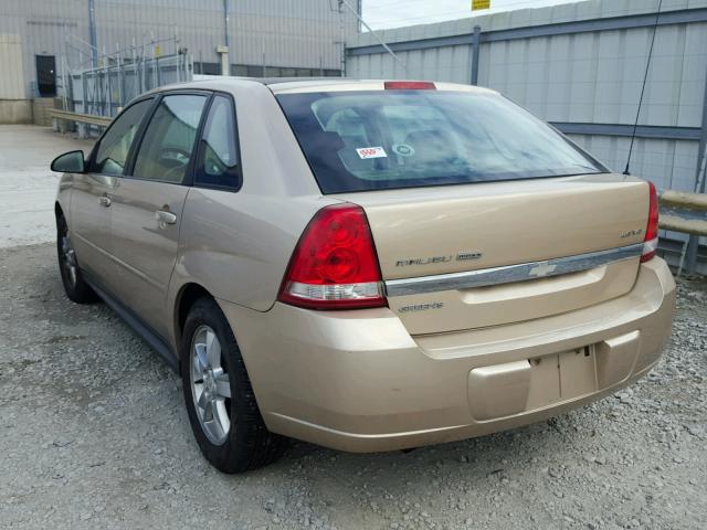 1G1ZT64844F220271 - 2004 CHEVROLET MALIBU MAX 米色 照片 3