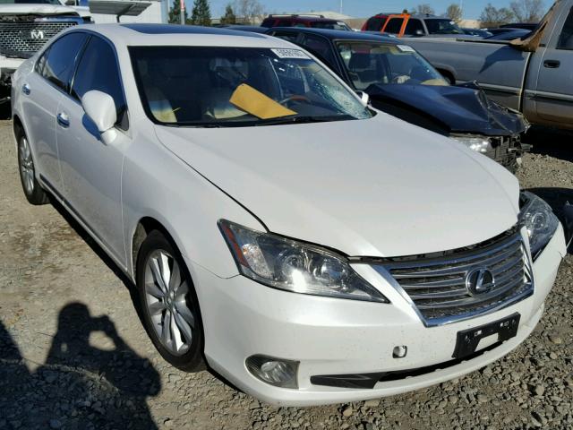 JTHBK1EG7A2360434 - 2010 LEXUS ES 350 SILVER photo 1