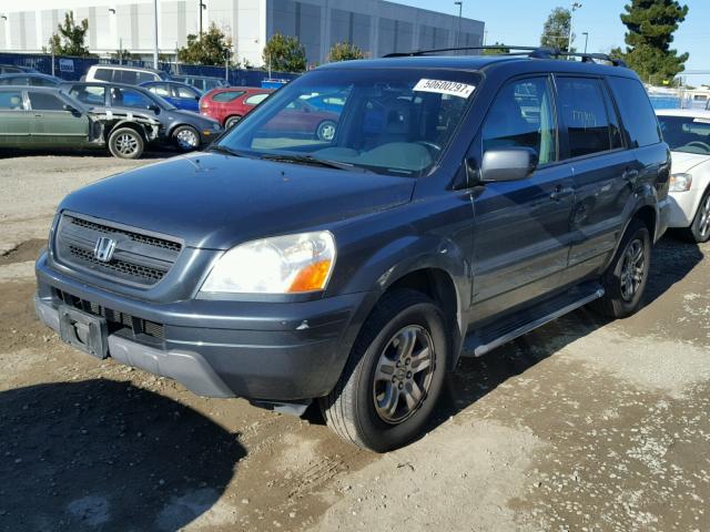 5FNYF18675B037667 - 2005 HONDA PILOT EXL GREEN photo 2