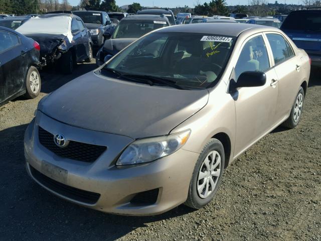 1NXBU40E29Z039769 - 2009 TOYOTA COROLLA BA GOLD photo 2