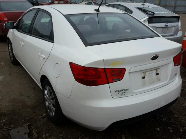 KNAFU4A24B5365340 - 2011 KIA FORTE EX WHITE photo 3