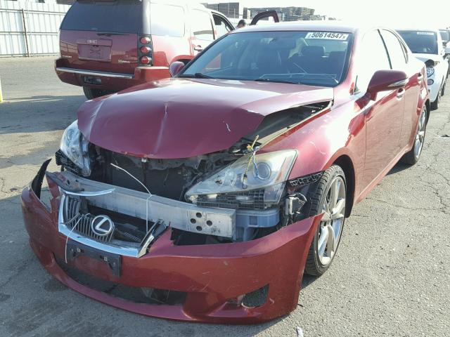 JTHBF5C20A5122460 - 2010 LEXUS IS 250 RED photo 2