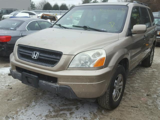 2HKYF18595H572265 - 2005 HONDA PILOT EXL GOLD photo 2