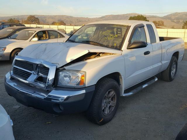 1D7HW42N65S194391 - 2005 DODGE DAKOTA SLT WHITE photo 2