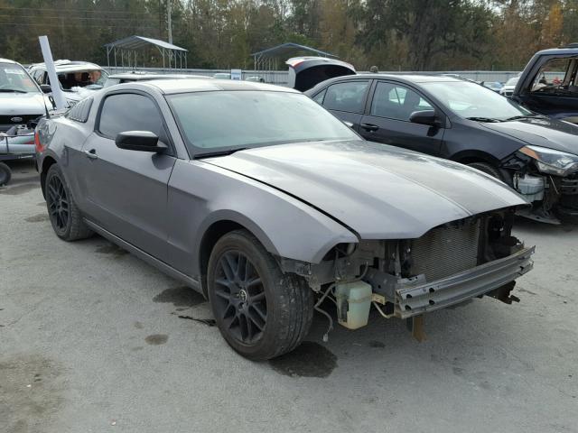 1ZVBP8AM8E5202998 - 2014 FORD MUSTANG GRAY photo 1