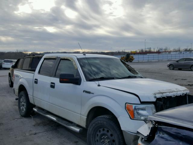 1FTFW1EV4AKA67421 - 2010 FORD F150 SUPER WHITE photo 1