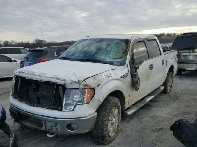 1FTFW1EV4AKA67421 - 2010 FORD F150 SUPER WHITE photo 2