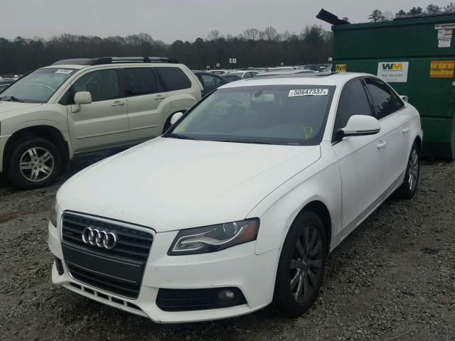 WAUSF78K49N035885 - 2009 AUDI A4 PREMIUM WHITE photo 2