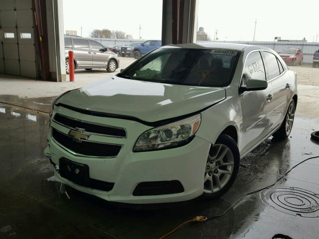 1G11C5SA8DF350387 - 2013 CHEVROLET MALIBU 1LT WHITE photo 2