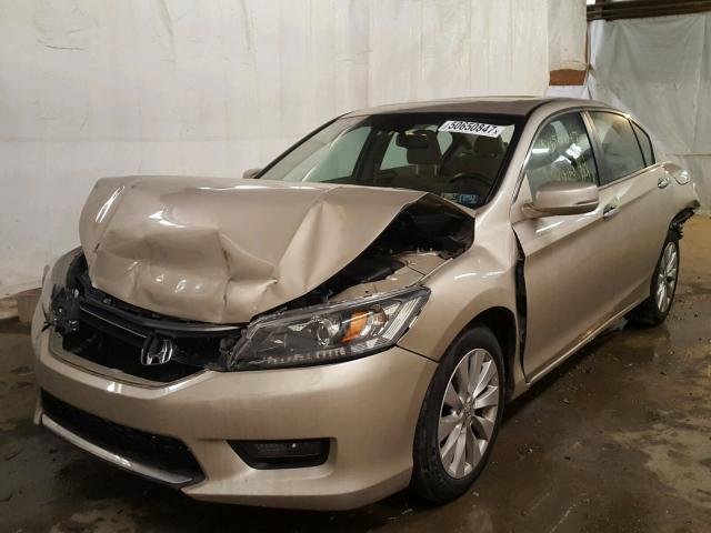 1HGCR2F82EA103290 - 2014 HONDA ACCORD EXL GOLD photo 2