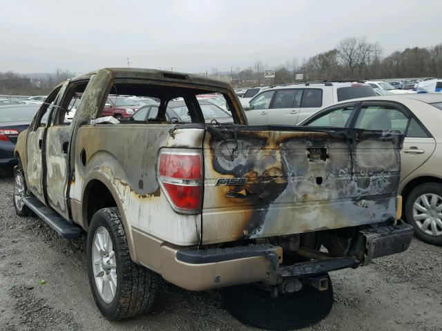 1FTFW1EF2BFA56338 - 2011 FORD F150 SUPER BURN photo 3