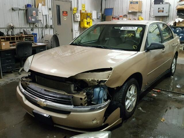 1G1ZT52805F280689 - 2005 CHEVROLET MALIBU LS ოქროსფერი ფოტო 2