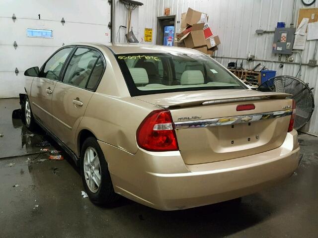 1G1ZT52805F280689 - 2005 CHEVROLET MALIBU LS ოქროსფერი ფოტო 3