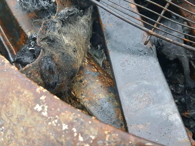 3VWCK21Y73M312502 - 2003 VOLKSWAGEN NEW BEETLE 烧焦的 照片 10