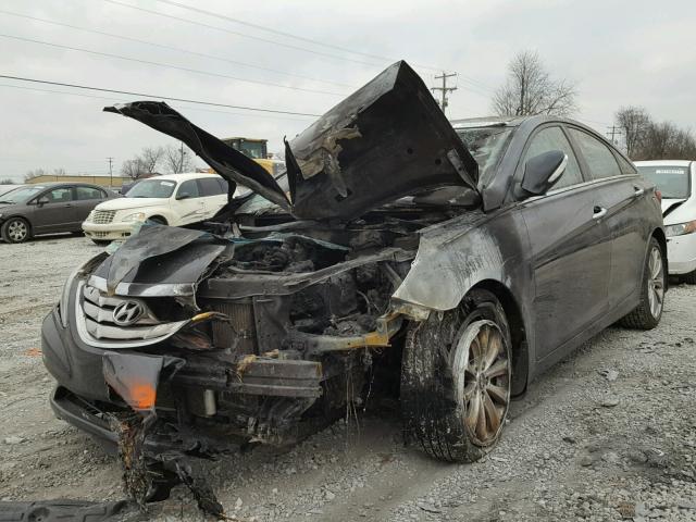 5NPEC4AB5DH534592 - 2013 HYUNDAI SONATA SE BLACK photo 2