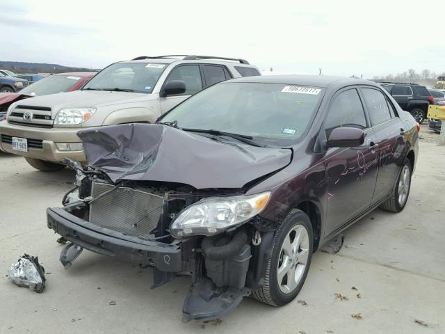 2T1BU4EE5DC065513 - 2013 TOYOTA COROLLA BA MAROON photo 2