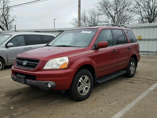 2HKYF187X4H589351 - 2004 HONDA PILOT EXL BURGUNDY photo 2