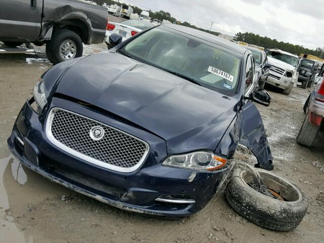 SAJWA2GB3BLV01753 - 2011 JAGUAR XJL BASE BLUE photo 2