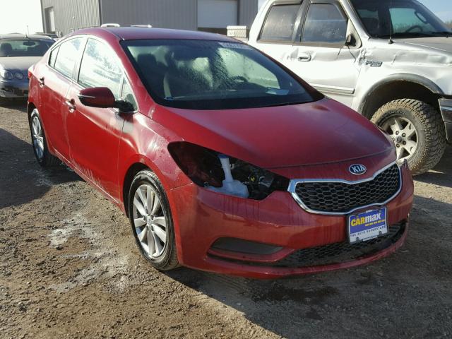 KNAFX4A66G5597584 - 2016 KIA FORTE LX RED photo 1