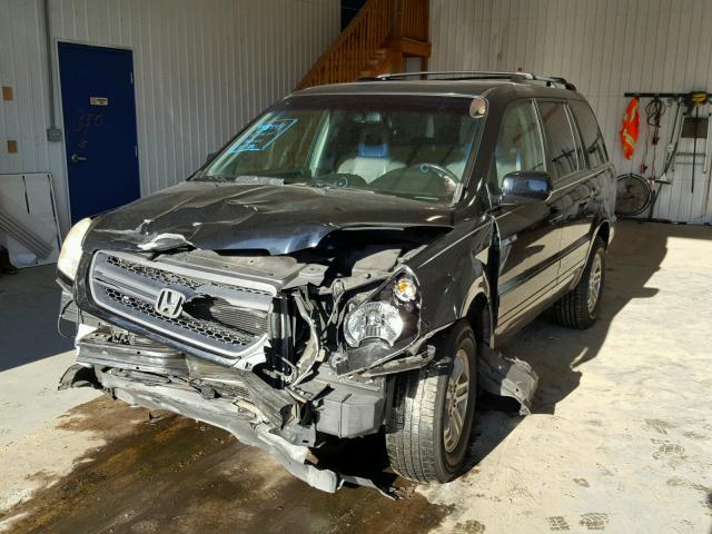 2HKYF18665H516356 - 2005 HONDA PILOT EXL BLACK photo 2