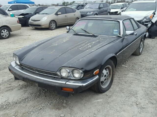 SAJNV5848DC112014 - 1983 JAGUAR XJS BLACK photo 2