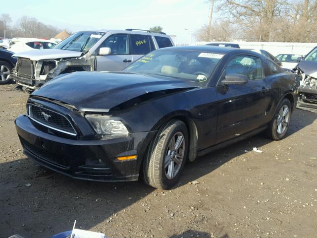 1ZVBP8AM1D5265374 - 2013 FORD MUSTANG BLACK photo 2