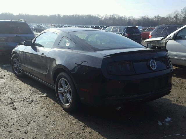 1ZVBP8AM1D5265374 - 2013 FORD MUSTANG BLACK photo 3